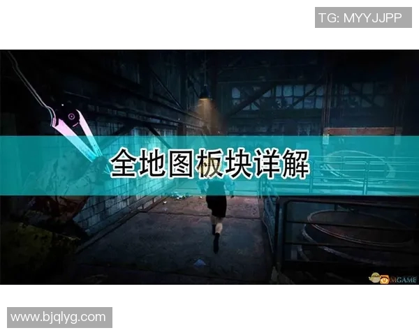 303神秘人揭开自由的面纱探索未知与自我解放的旅程