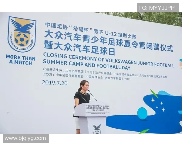 中国足球的现状与未来发展路径探讨与评价分析